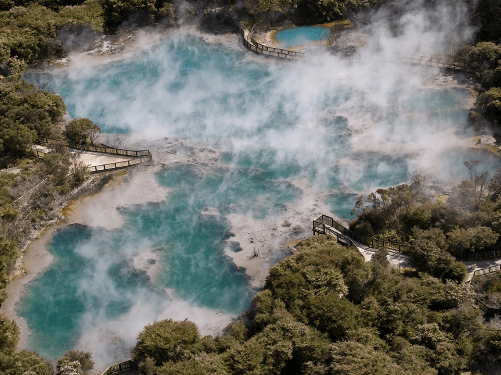 Aerial view of steaming geothermal pools and boardwalk at Kuirau Park in Rotorua, surrounded by native bush.