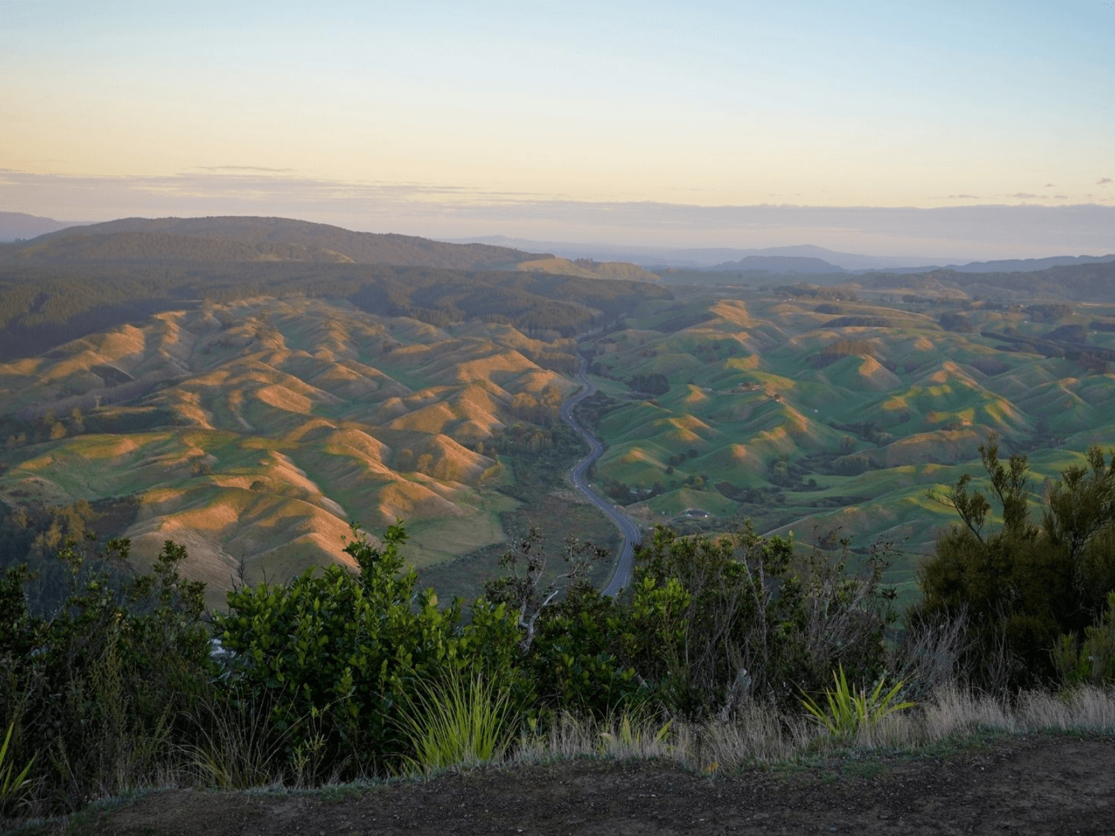 View from Rainbow Mountain lookout in Rotorua, overlooking rolling green hills, forest, and winding roads.