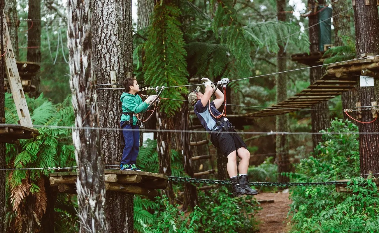 Kids doing an adventure rope course in a forest.