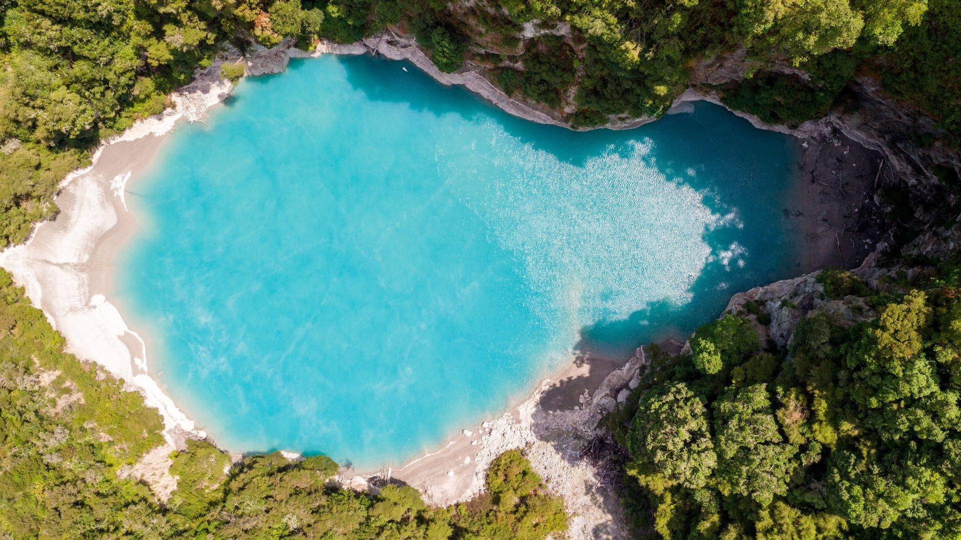 The stunning bright blue water in Waimangu Volcanic Valley near Rotorua.