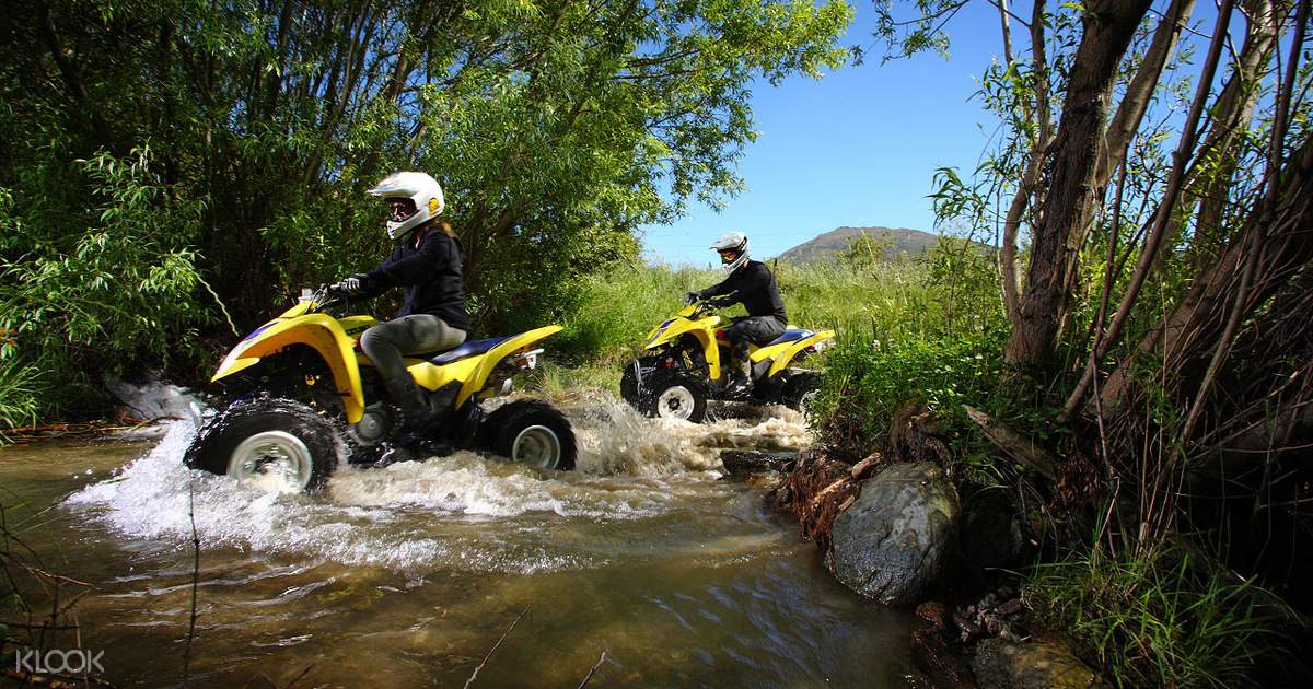 Two quad bikes are driven through muddy water among trees under a blue sky.