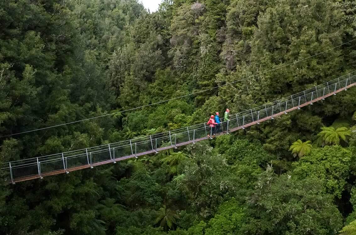 People walking over the canopy tour forest swing bridge at Canopy Tours Rotorua.