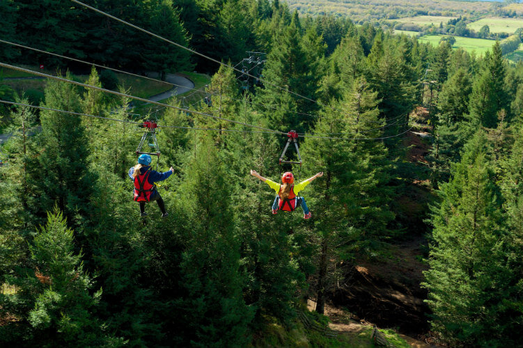 Two friends racing down the Ziplines side by side.
