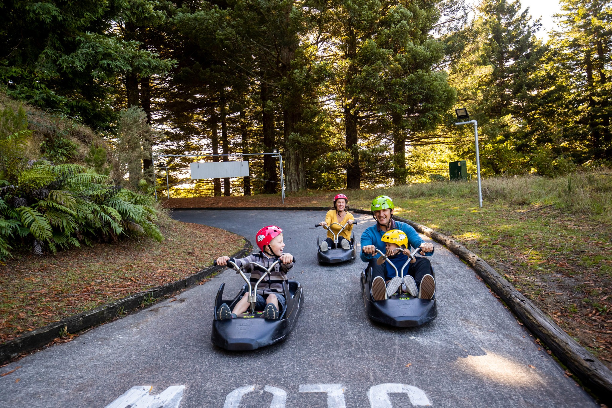 Plenty of family fun on the Skyline Rotorua Luge.
