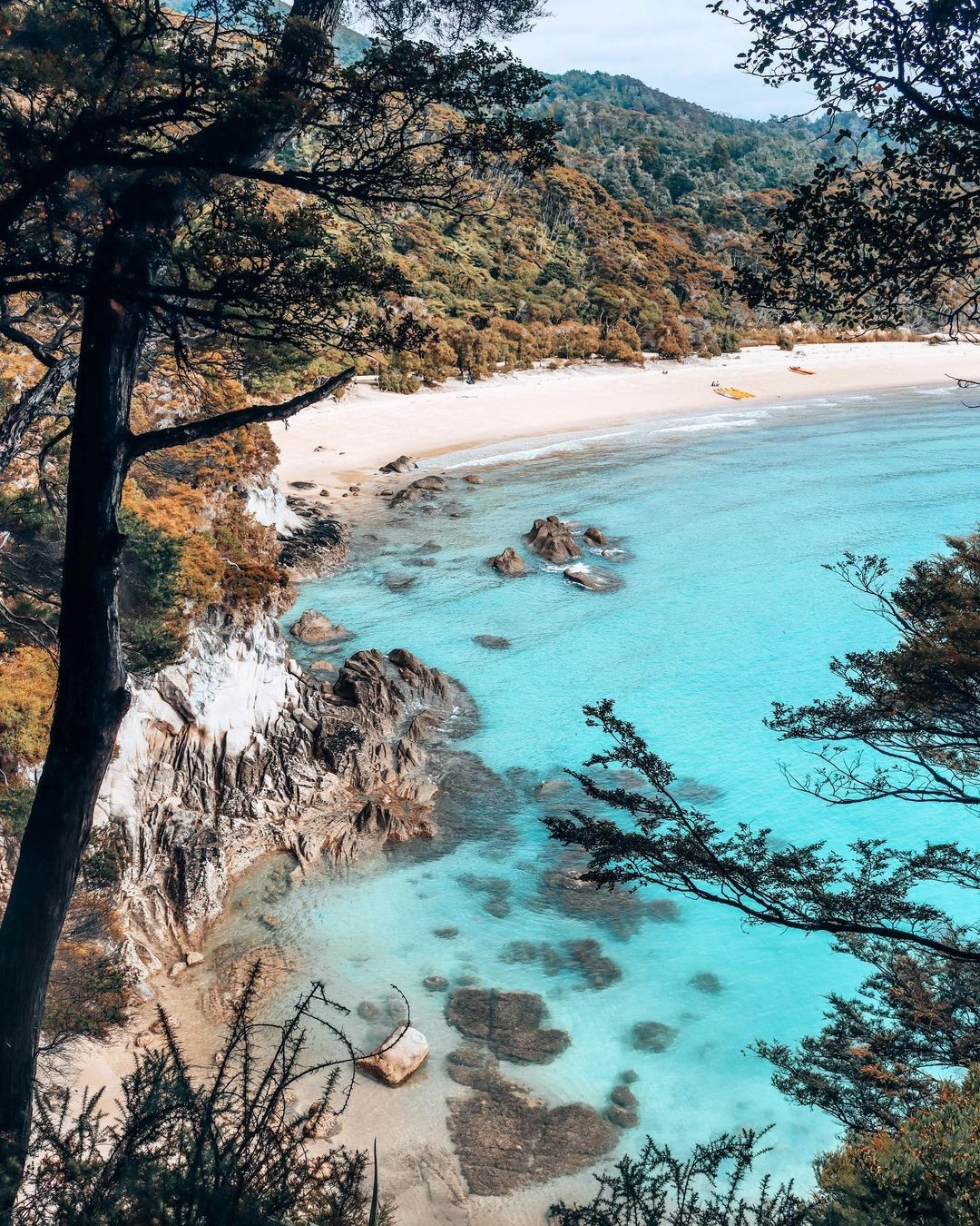 An elevated perspective of a serene white sand beach located in the Abel Tasman National Park.
