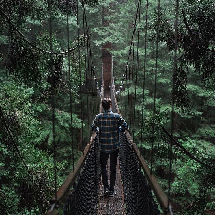 A man walks along a suspended bridge at the Whakarewarewa Redwoods Treewalk in Rotorua.