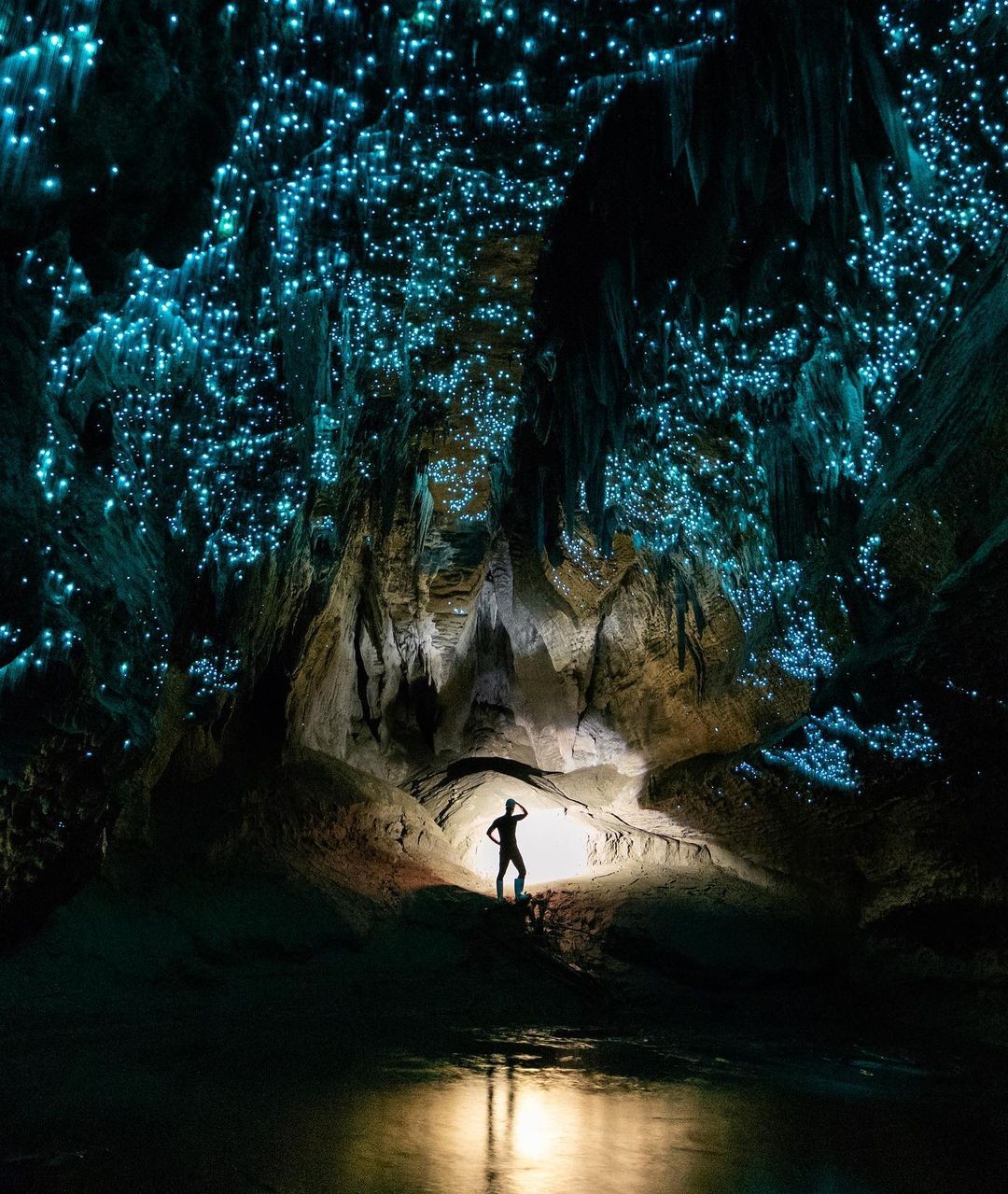 A man poses in a Waitomo cave with thousands of glow worms lit up on the roof.