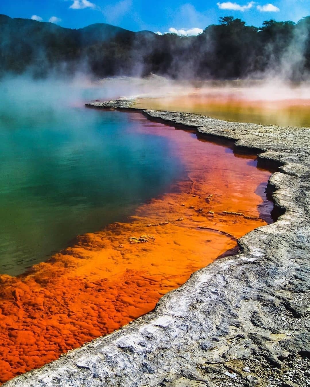 A stunningly orange geothermal hot pool in the Wai O Tapu park at Rotorua.