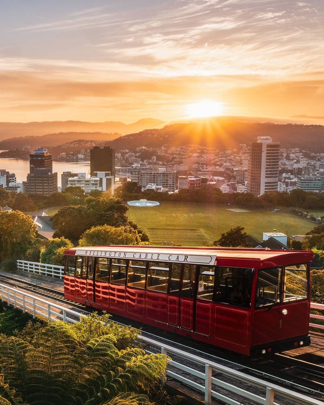 The famous red cable car ascending the mountain in Wellington.