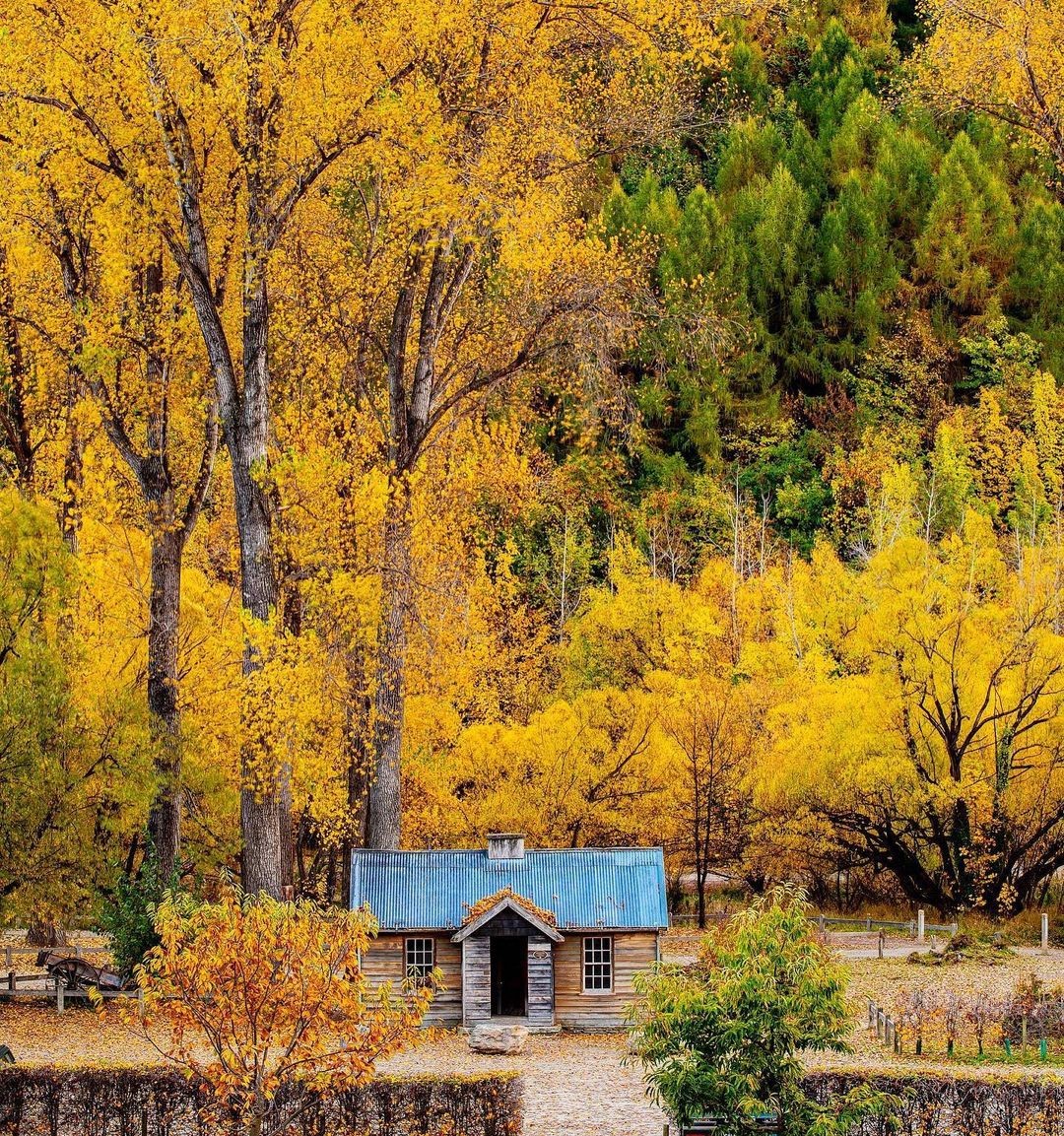 A historic building is framed by the autumn colours of Arrowtown.