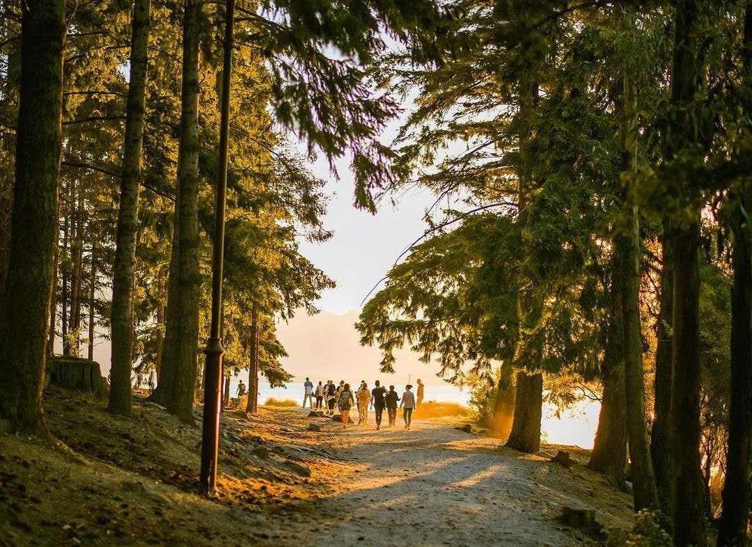 Best Things to Do in the Queenstown Gardens