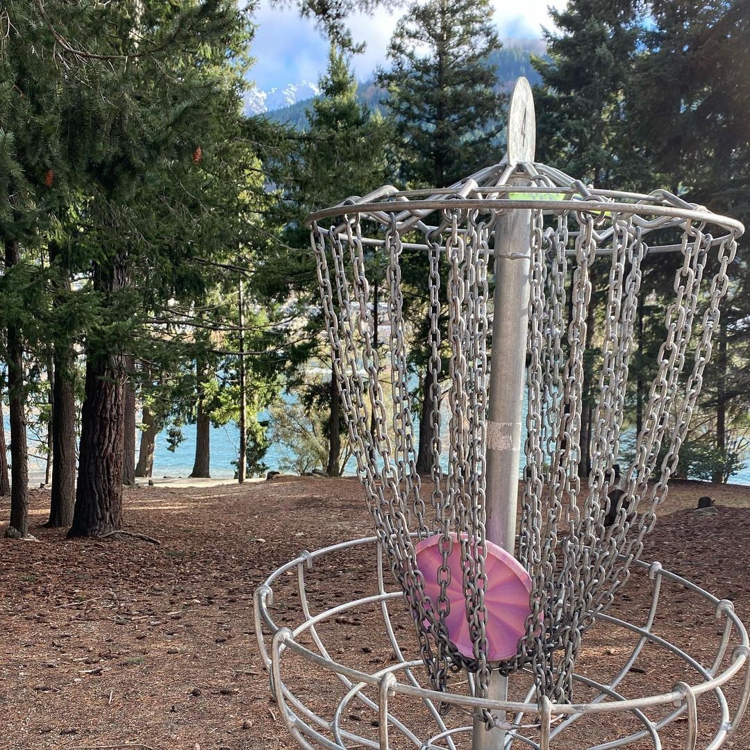 A frisbee dangles in a disc golf basket in the Queenstown Gardens.