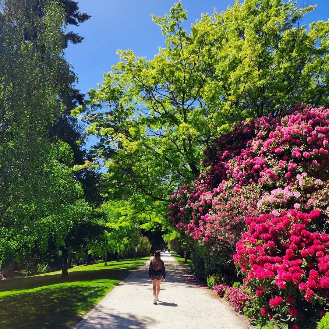 A woman walks down a rocky pathway in the Queenstown Gardens during spring with colourful flowers in full bloom.