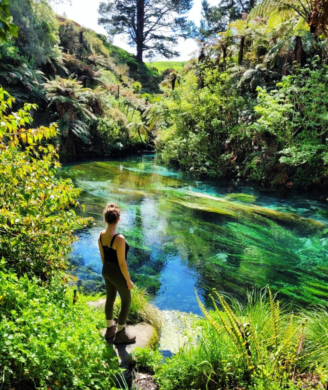 A woman looks out over the incredible azure blue water found along the Te Waihou Walkway.