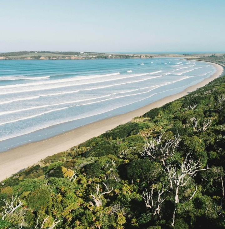 The beautiful whitesand Tautuku bay in the Catlins.