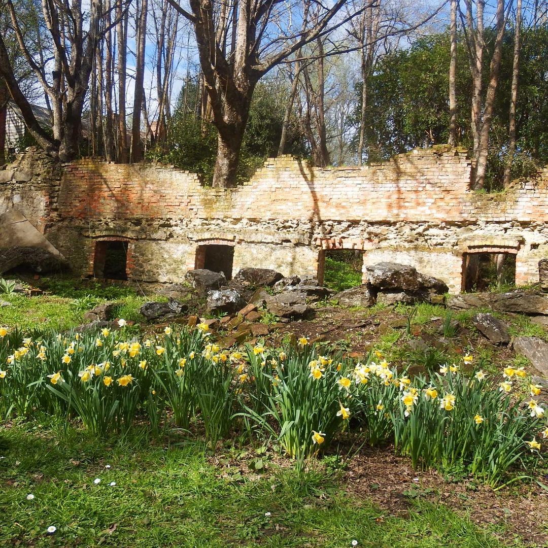 The Old Weatherstons Brewery ruins located in Lawrence, Otago.
