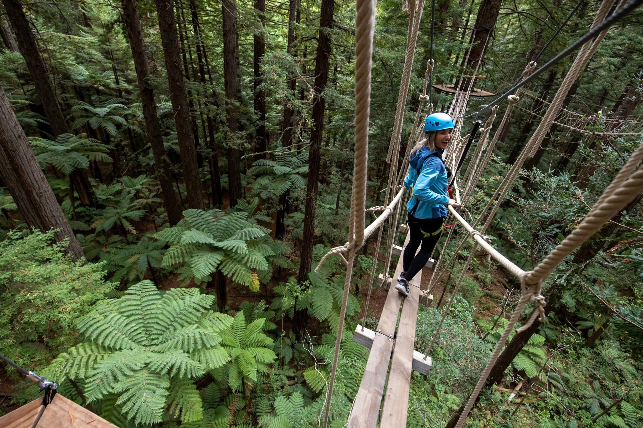 A woman walks across a wooden bridge high above the forest floor on a Redwoods Altitude tour in Rotorua.