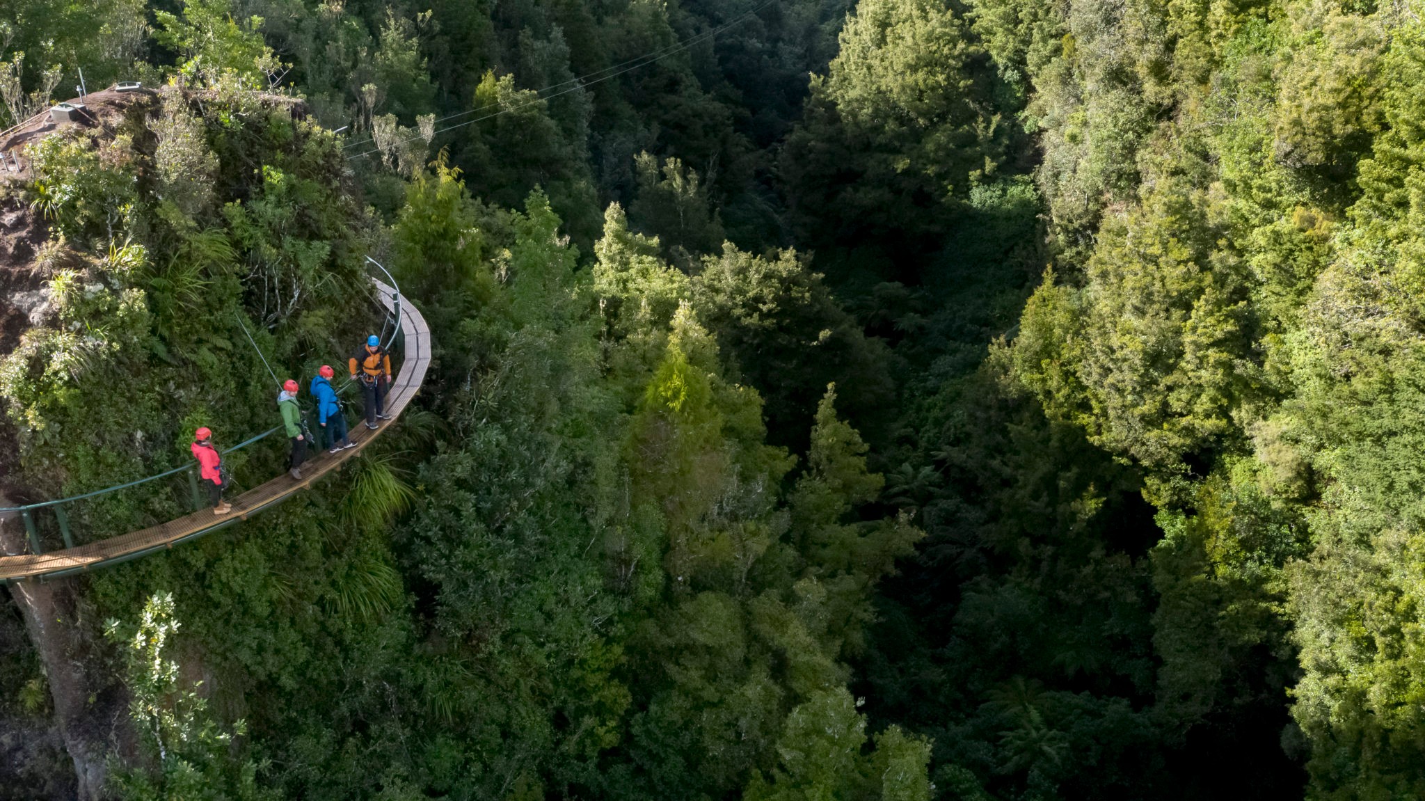 A group of customers wind around a wooden path above the treetops on a Rotorua Canopy Tours trip.