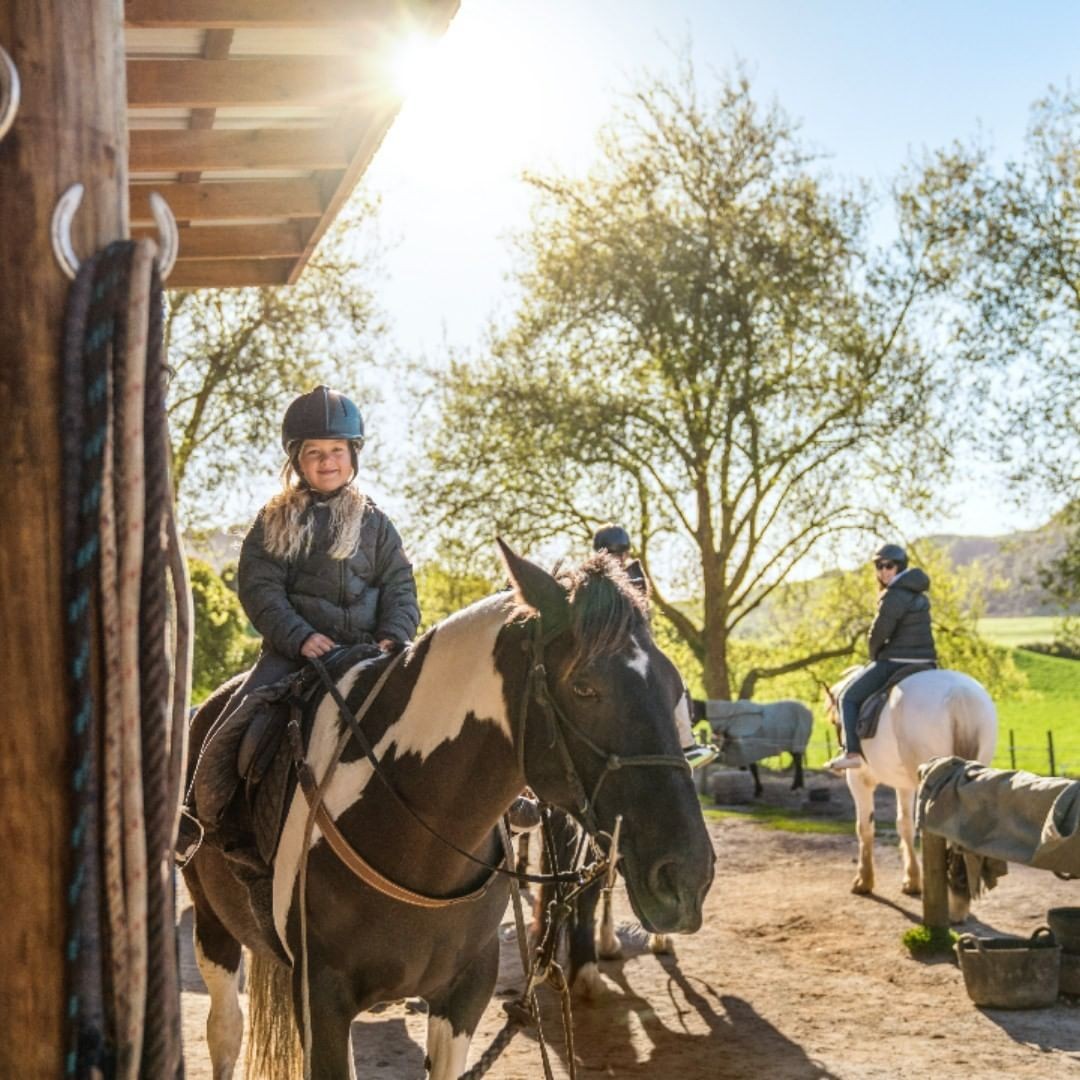 A child smiles atop a horse ready to go for a trek through the Whakarewarewa forest.