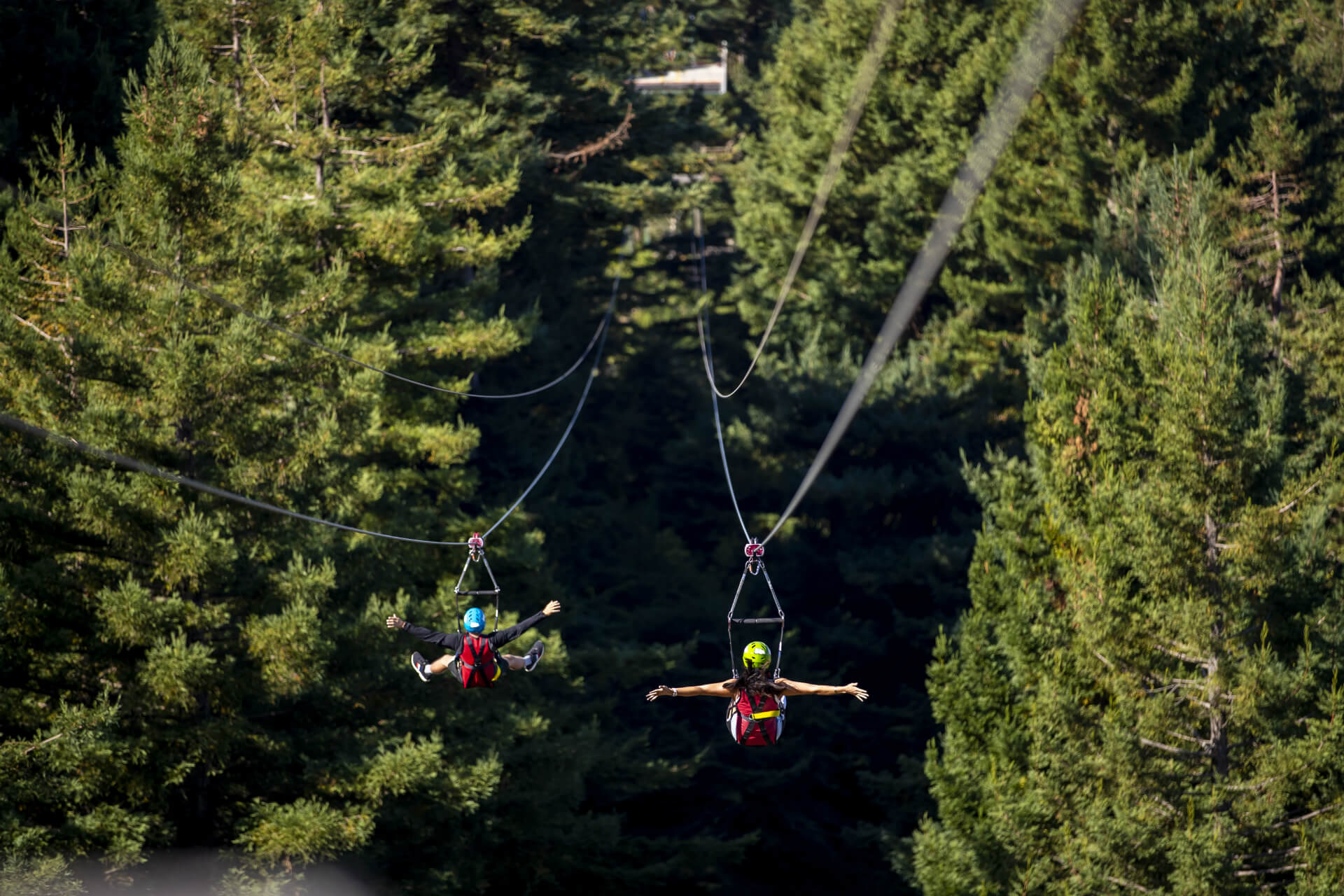 Two Friends Ziplining Next To Each Other With Arms Out Stretched