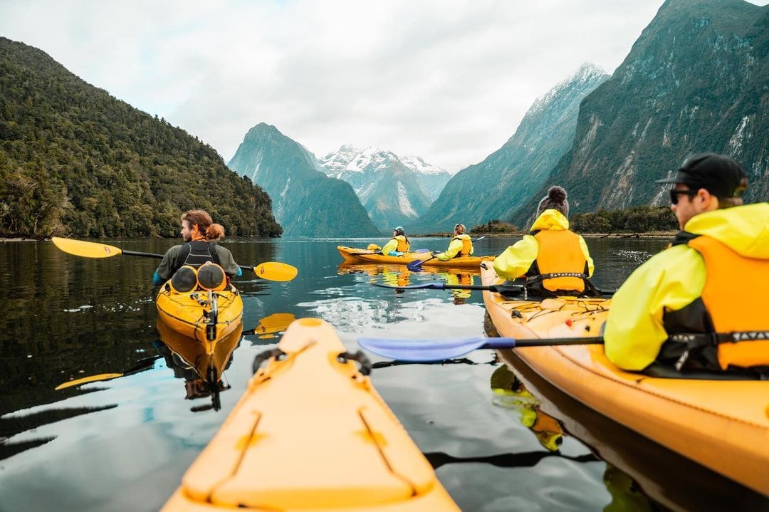 A group of people kayak through Milford Sound on a tour.