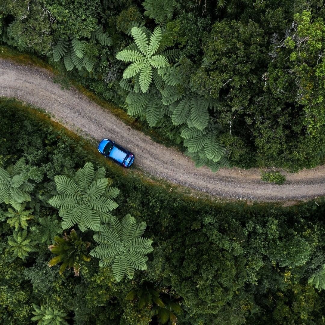 A stunning birds eye view of a car parked on a remote Rotorua dirt road shrouded by native New Zealand bush.