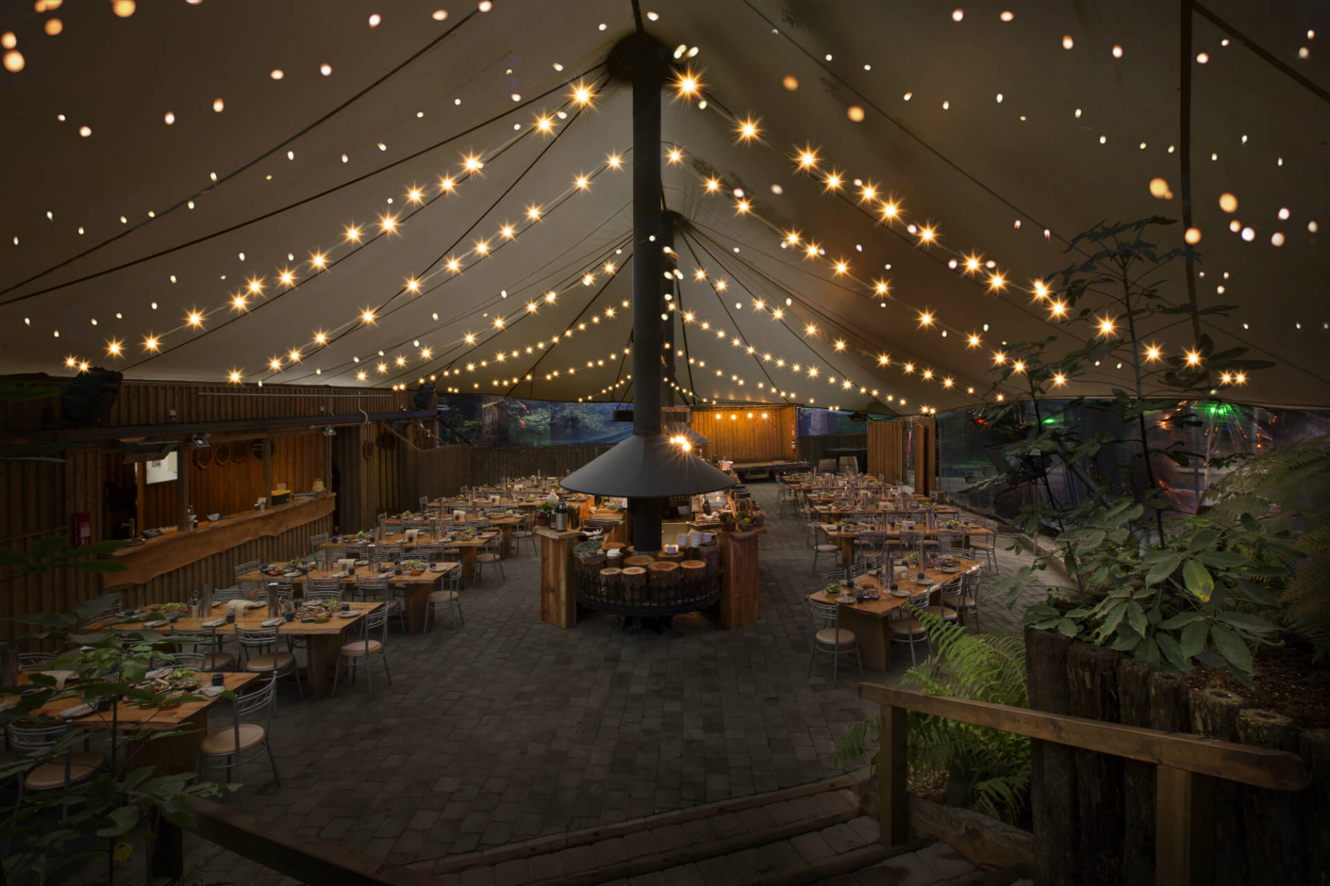 Skyline Rotorua's Hidden Forest Venue With Fairy Lights.