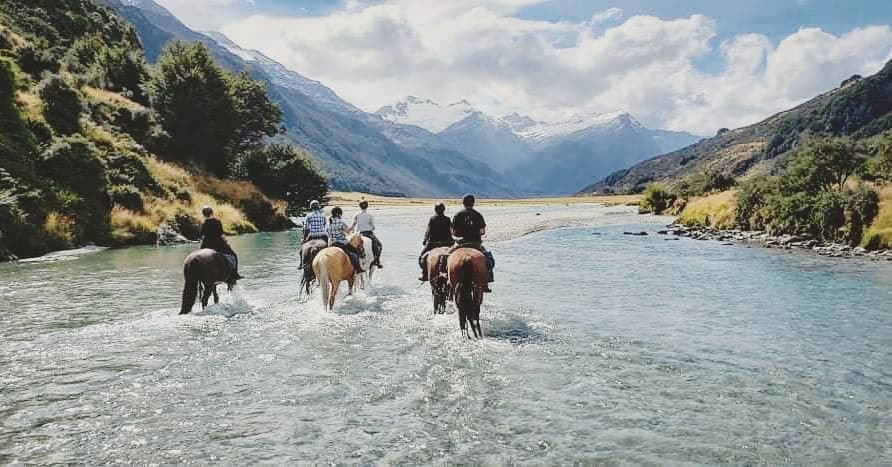 A horse trekking tour walks down the middle of a river in Queenstown.