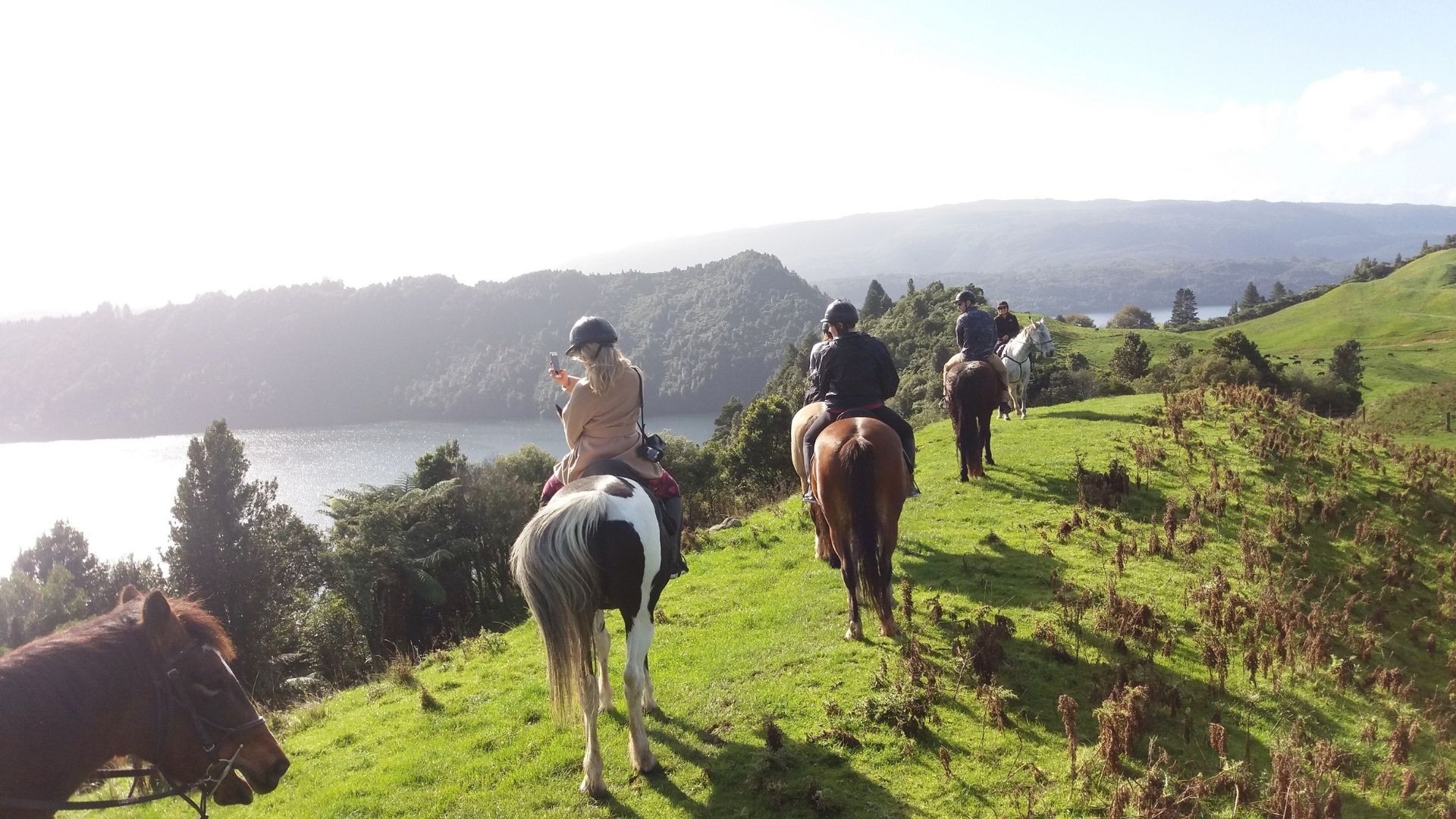 A group of people got horse trekking along a scenic mountain ridge overlooking Lake Rotorua.