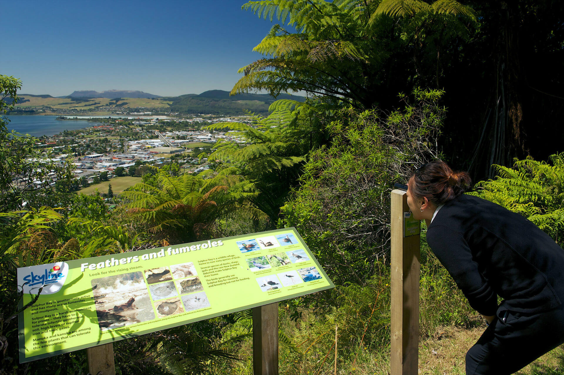 Visitor looking out over Rotorua on a sunny day.