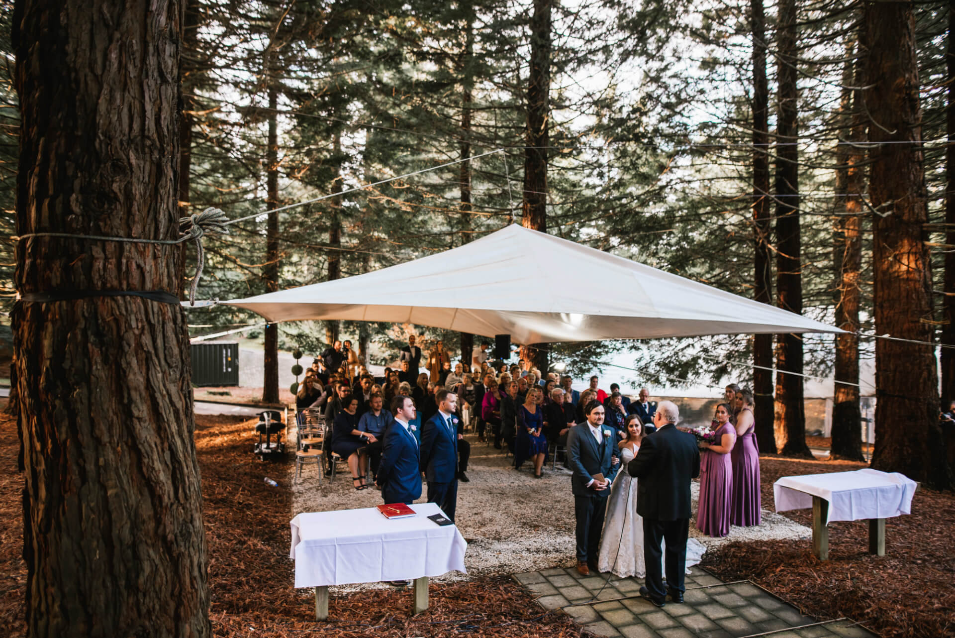 A Celebrant Reads Vows To A Newly Married Couple