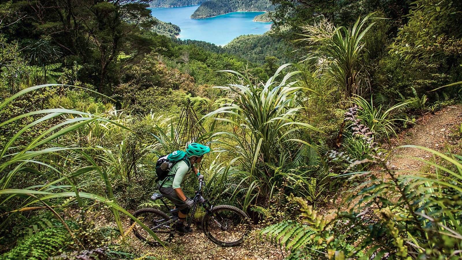  Mountain biker ascends the Western Okataina track with sweeping views of the lake behind.