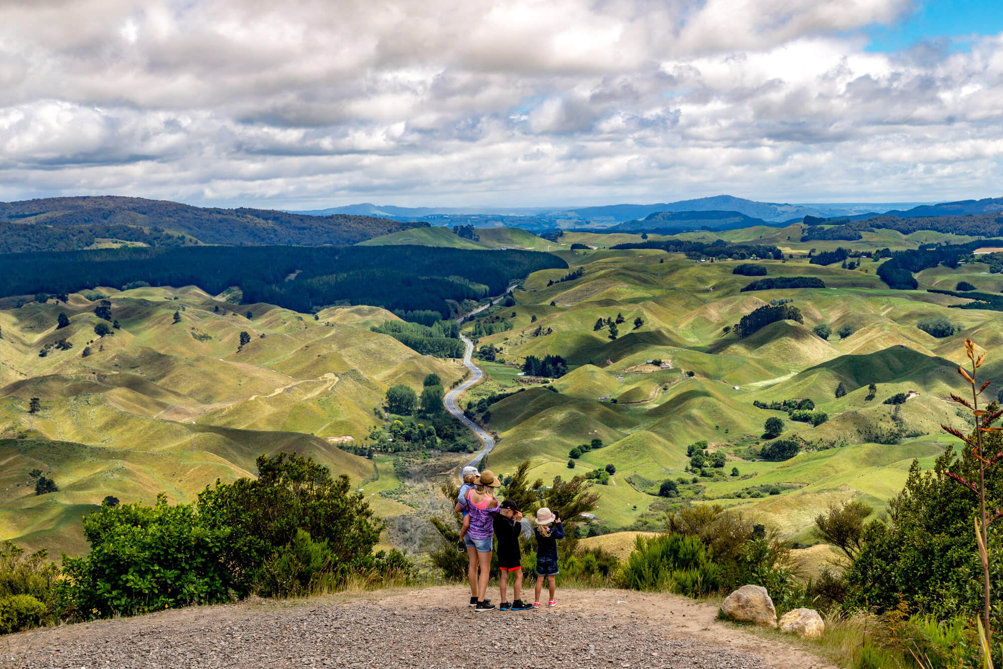 A group of people stops to check out the view from the highest point of the Te Ara Ahi Thermal Trail.