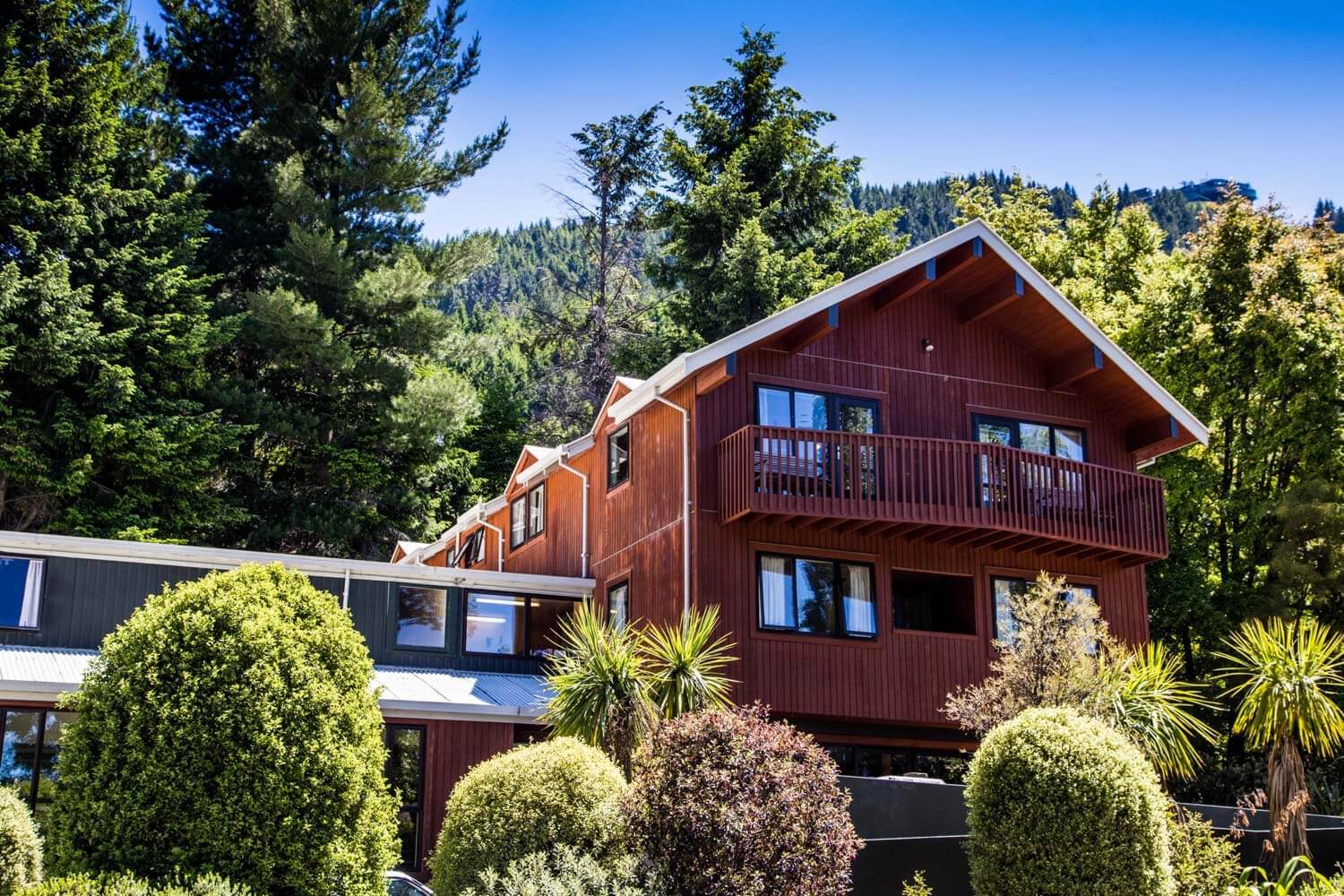 YHA hostel sits nestled among green trees with Bob's Peak in the background.