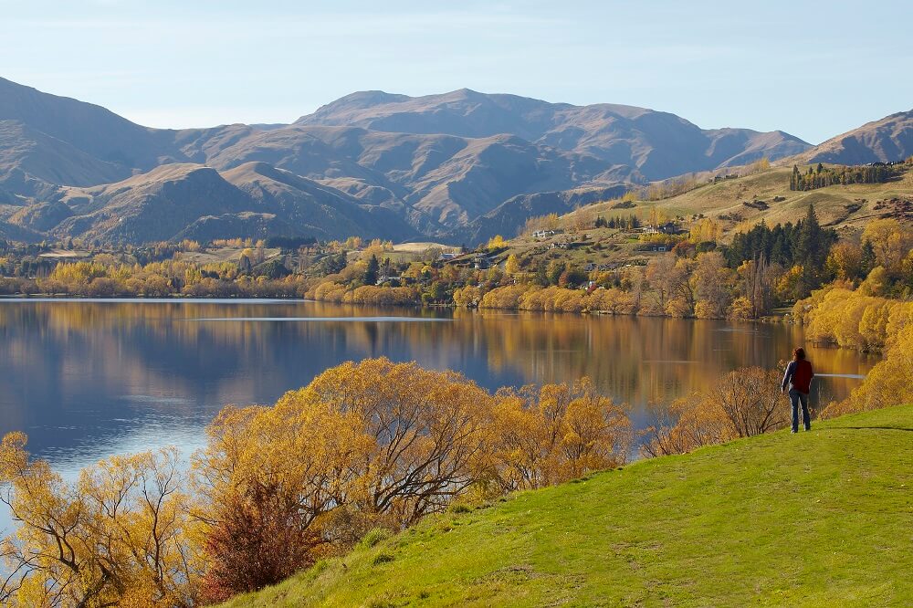 Lake Hayes in Autumn, surrounded by golden trees with mountains in the background.
