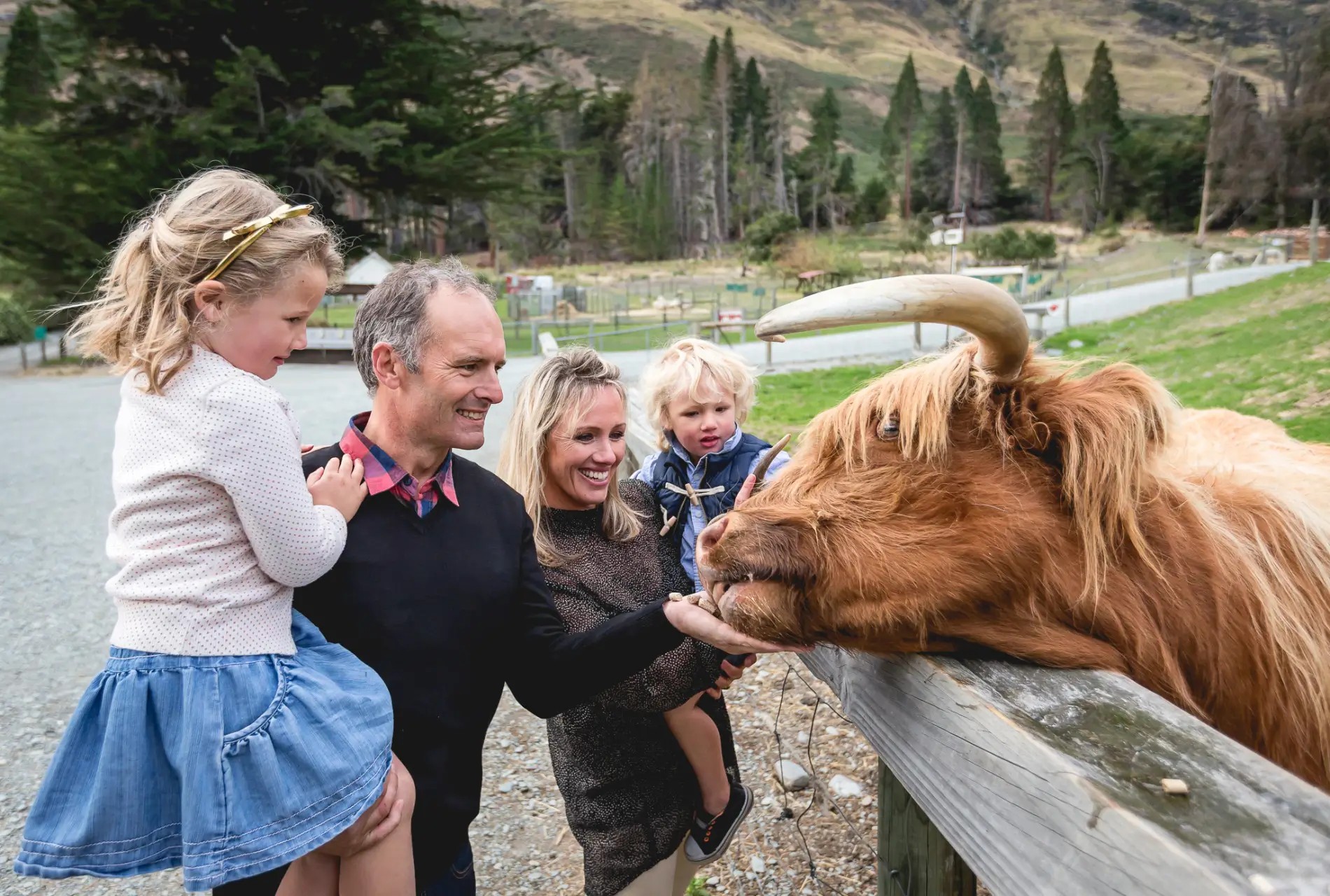 Family with two parents and two kids petting a highland cow at Walter Peak Farm in Queenstown.