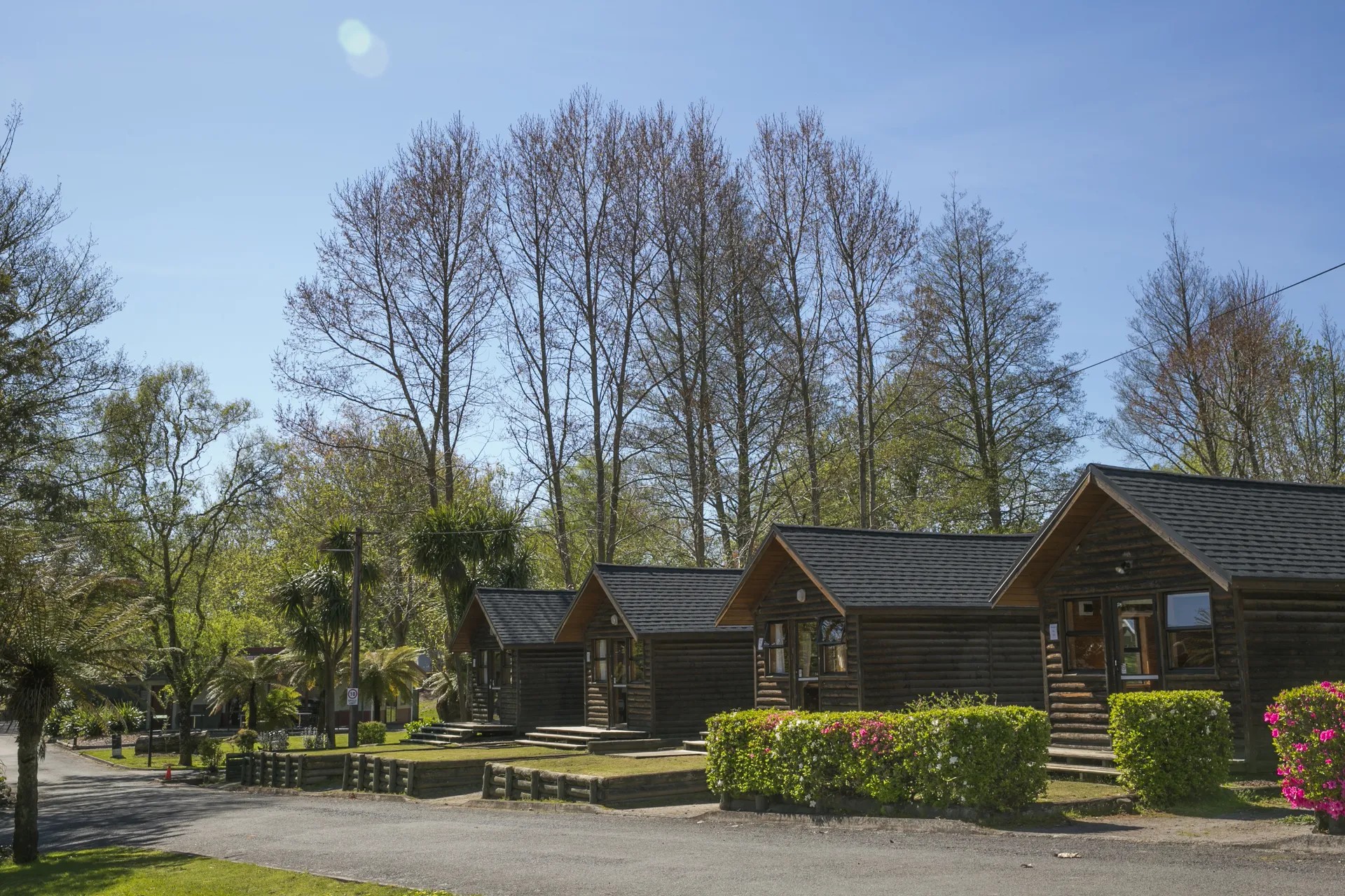 Rustic wooden cabins at holiday park surrounded by trees, trimmed hedges and garden flowers.
