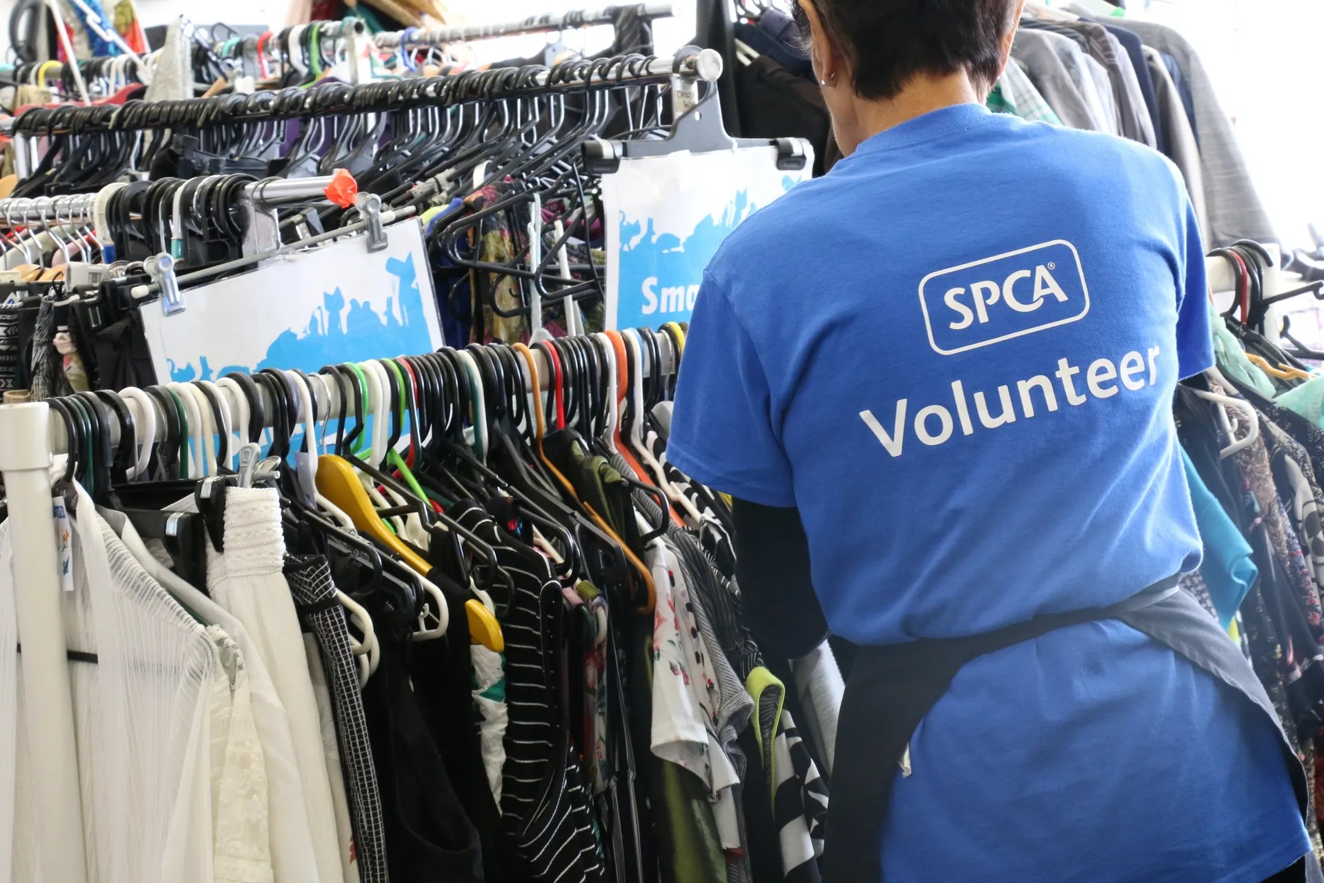 SPCA volunteer in blue uniform sorting through clothing racks filled with second-hand garments in charity op shop.