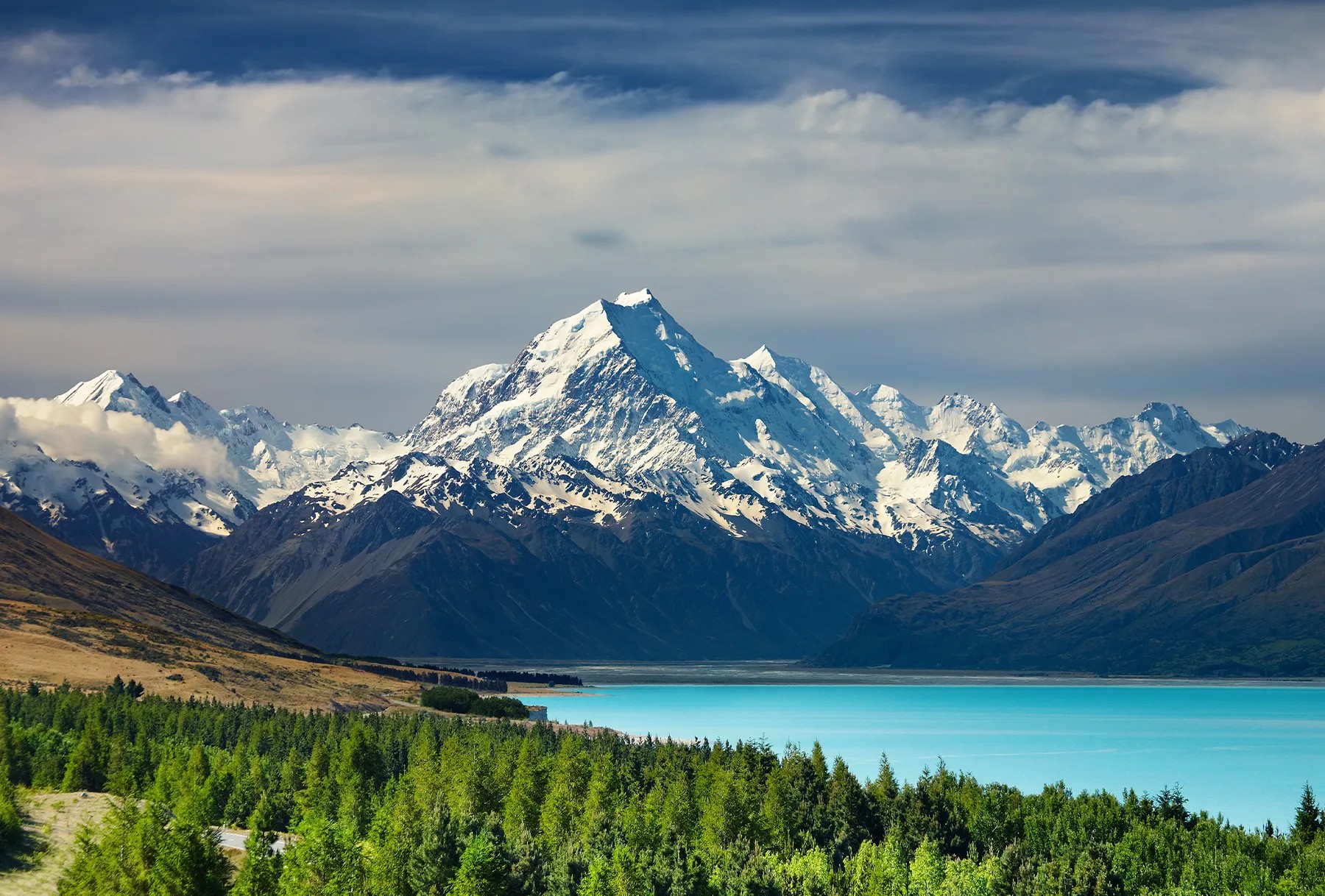 Snowcapped alps, blue Lake Pukaki, and lush green trees.