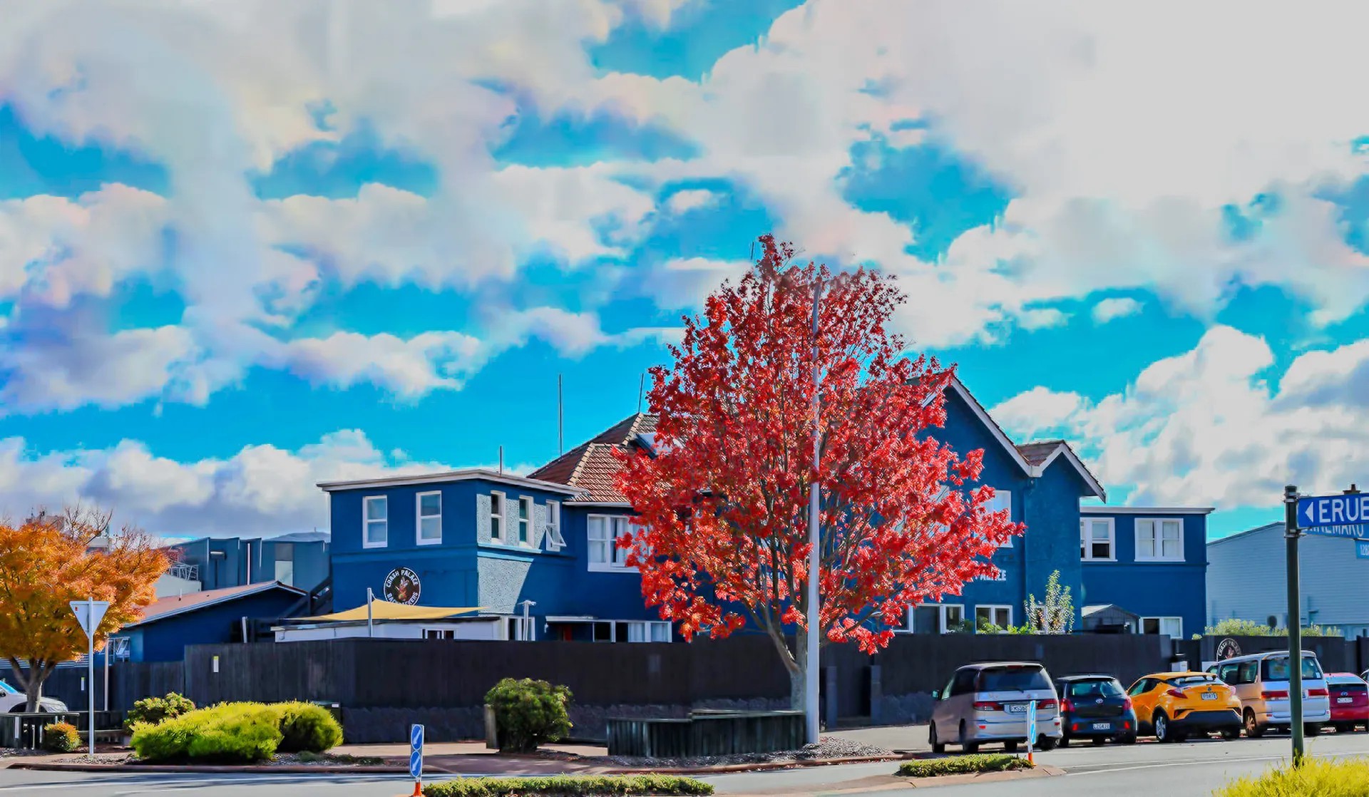 Blue hostel accommodation with red foliage tree, street parking and autumn day setting.