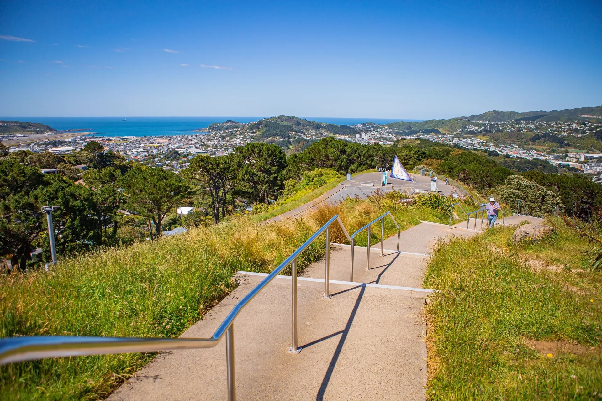 Walking path with blue railings climbing Mount Victoria lookout overlooking Wellington's houses and coastline.