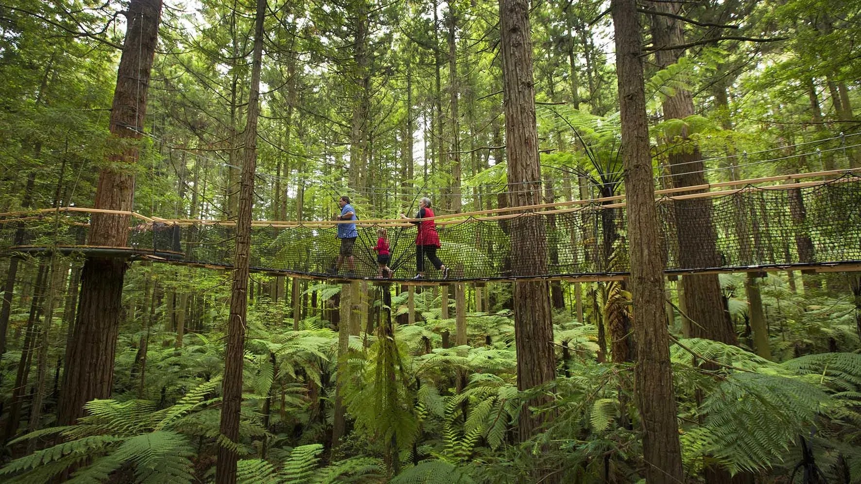 Family walking through a tree-top walk course in the Redwoods Forest in Rotorua.