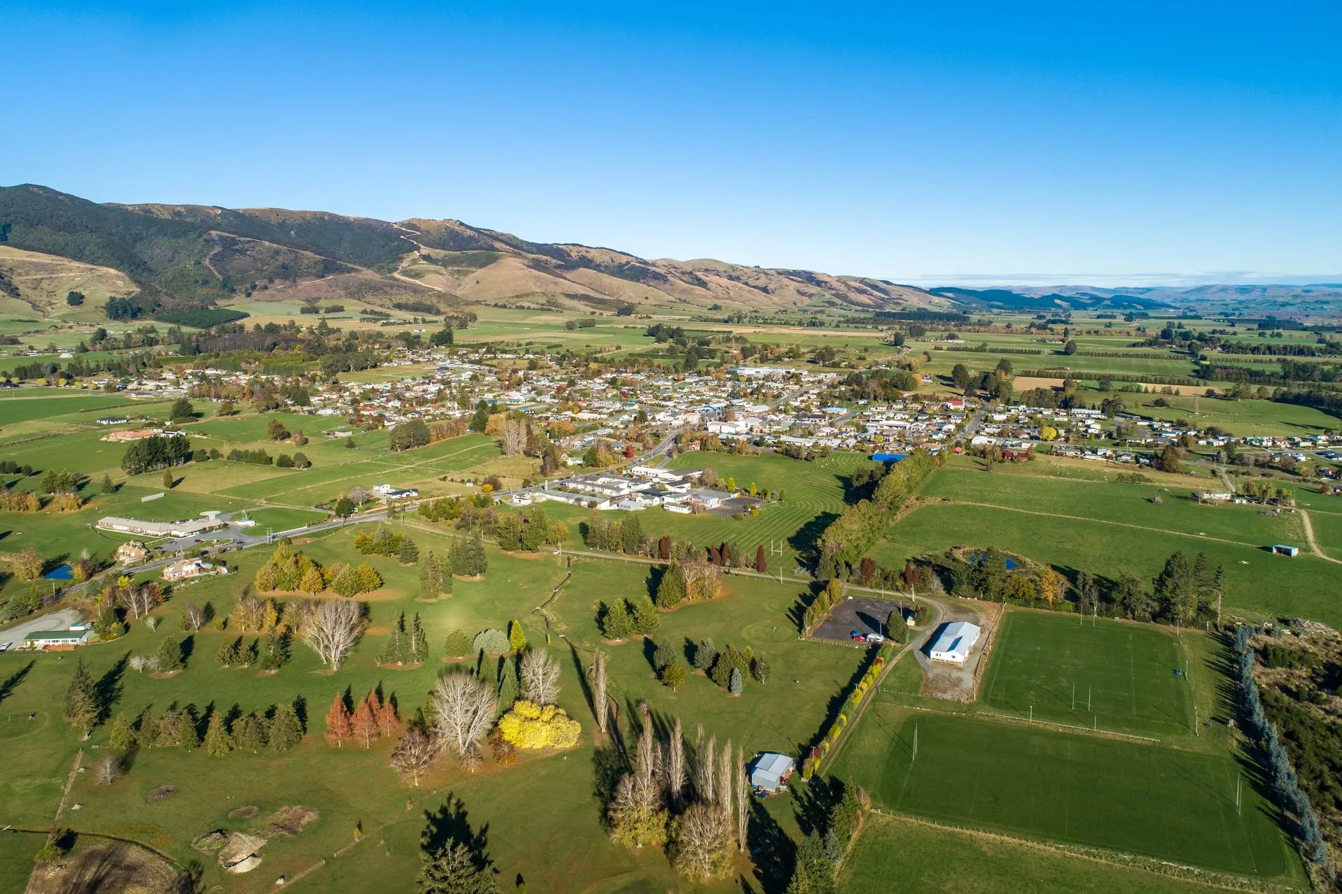 Bird's eye view of Tapanui showing rural houses, farm paddocks and golden autumn trees in the countryside.