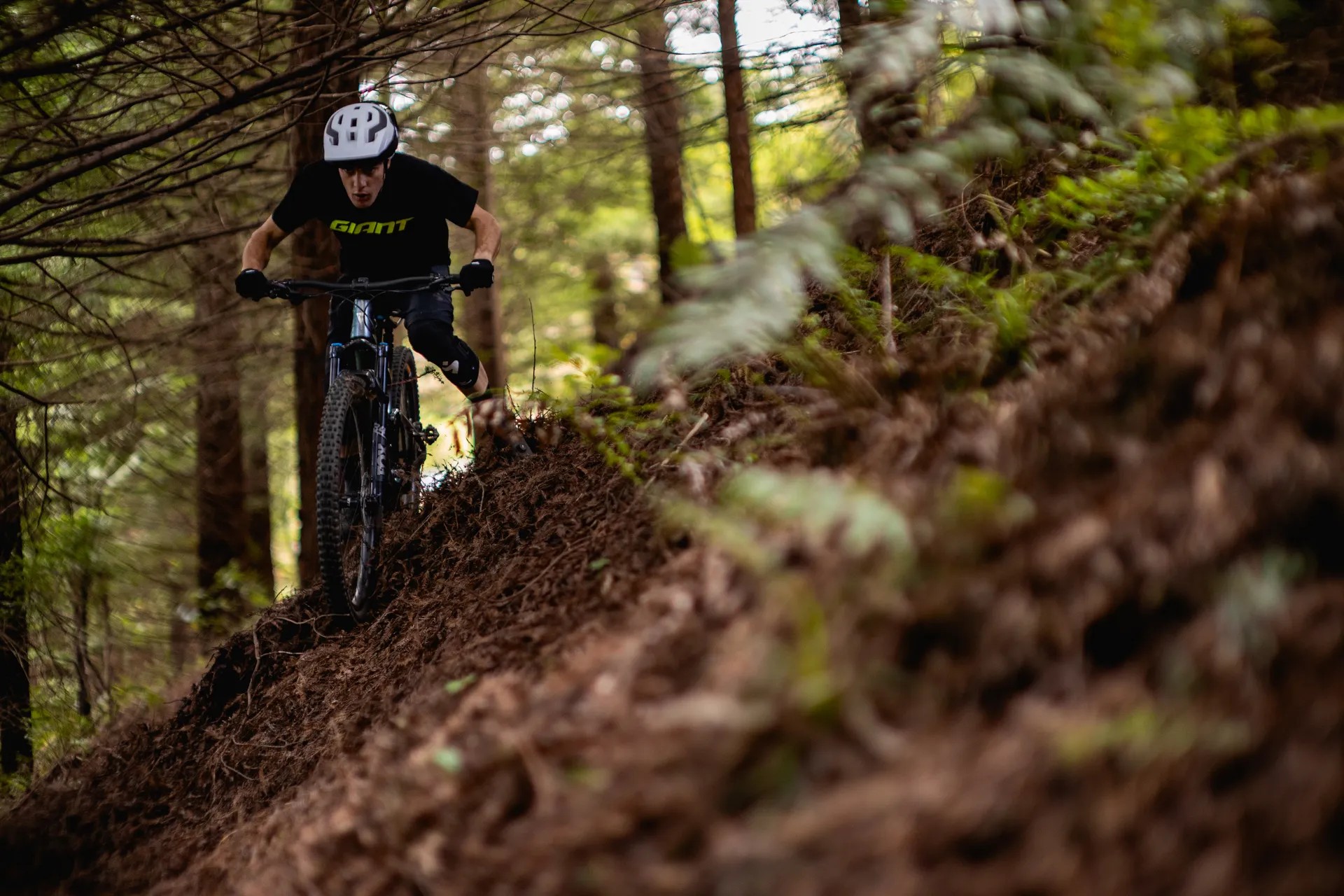 Person biking along a steep incline in a forest.