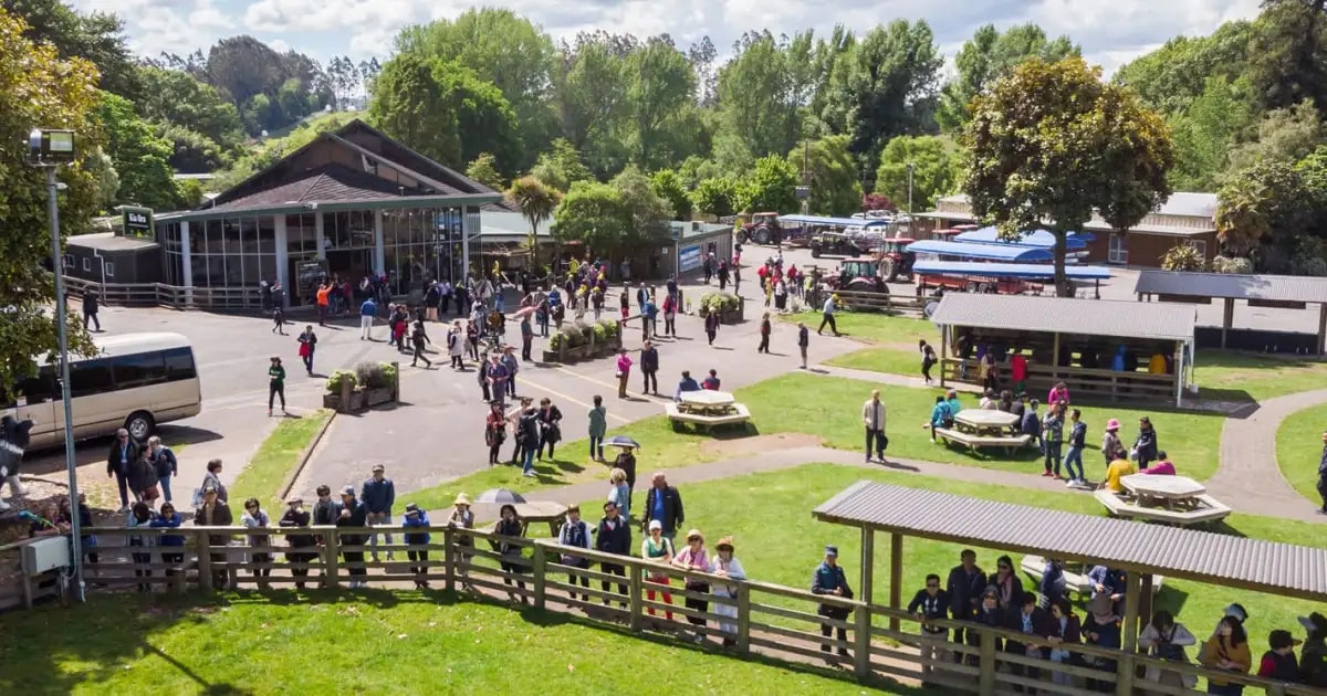 High-angle shot of lots of people walking around the farm on a sunny day