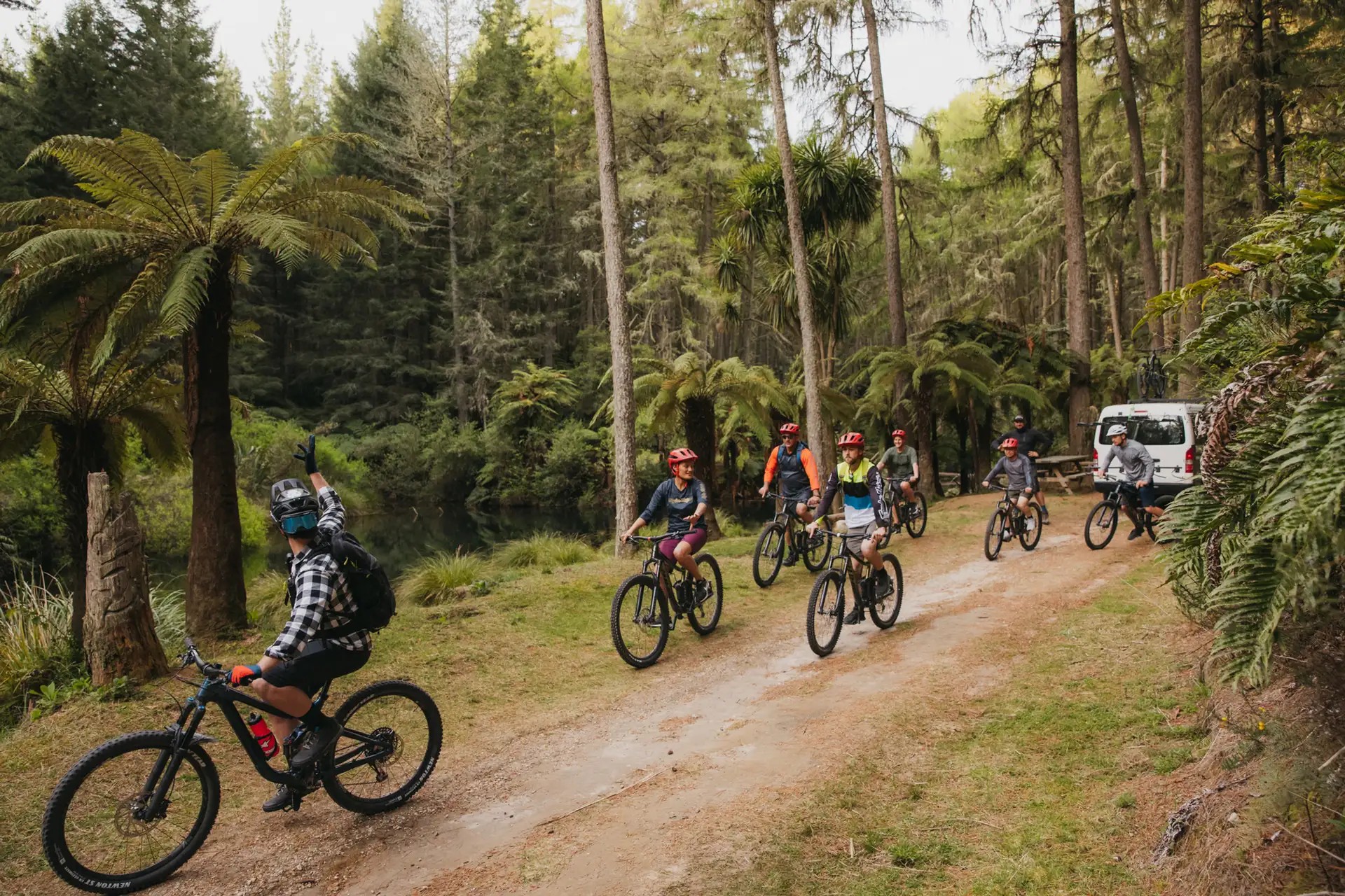 Group of bicycle riders cycling in a forest with a white bike rental van behind them.