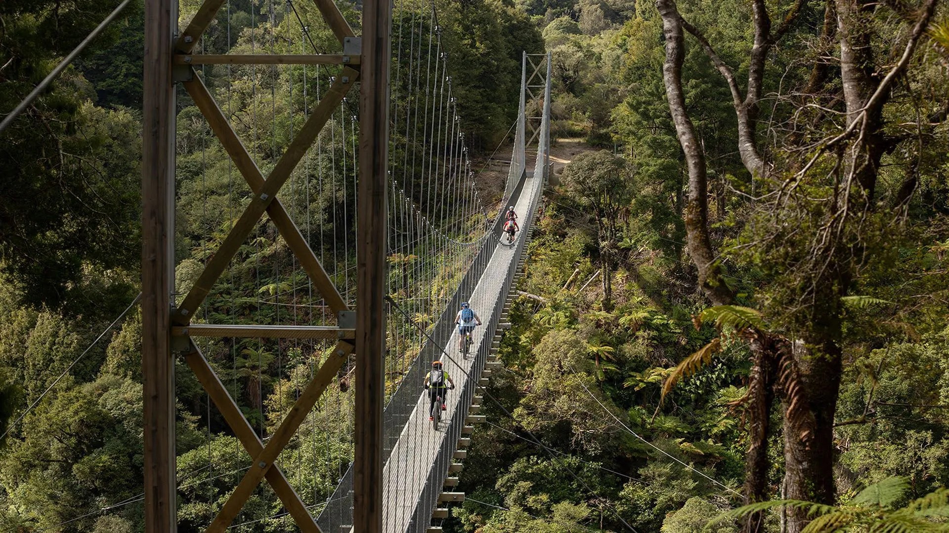 Four cyclists riding across a suspension bridge over a forest.