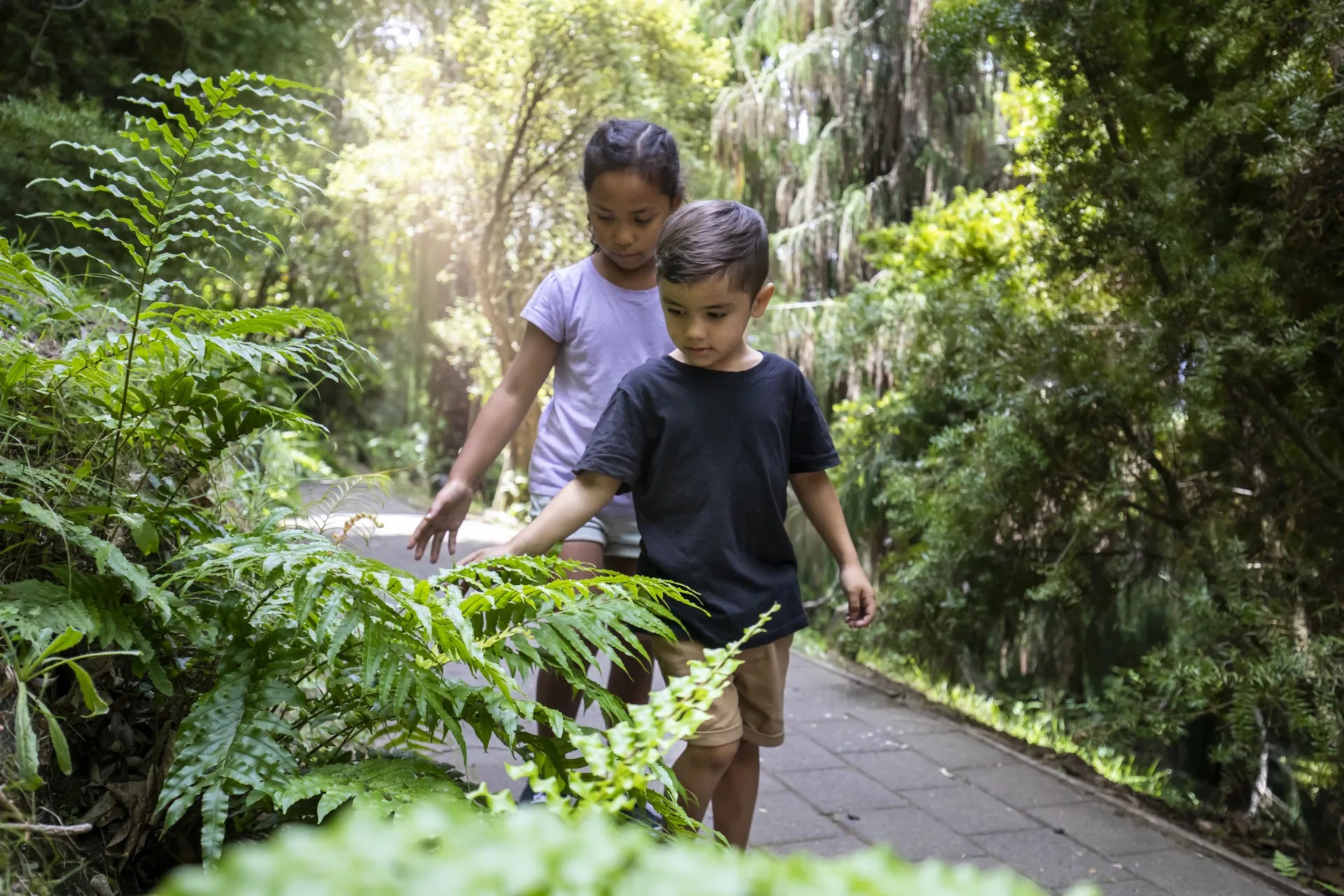 Two kids walking on a paved path through a forest, touching the native ferns.