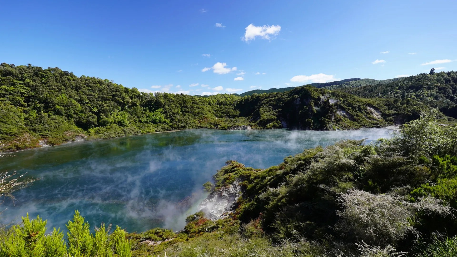 Blue geothermal lake with steam, surrounded by a hilly green forestscape.