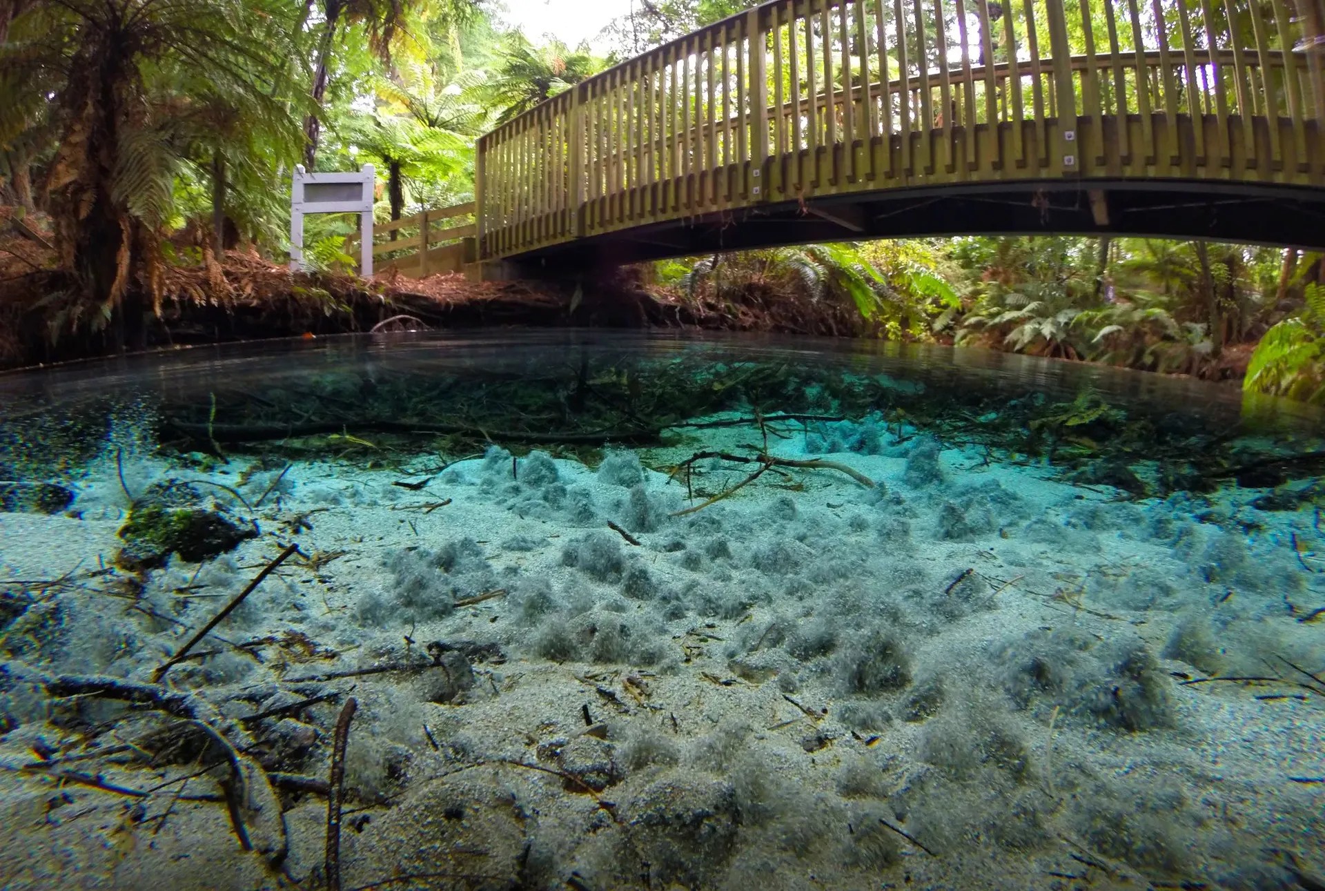 Stream with clear turquoise water and a wooden walking bridge on top.